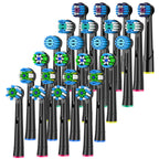 S91fe112ae7fb40e481ab33bcf62008aep